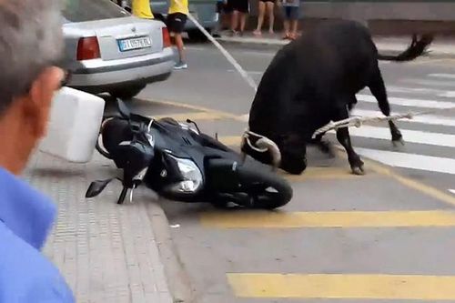 Bò 'điên' húc ô tô, xe máy bay lên vỉa hè