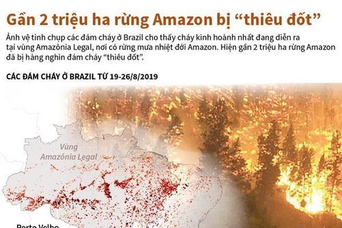 Gần 2 triệu hécta ở rừng Amazon bị 'thiêu đốt'