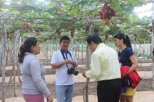 Tour dịp lễ Quốc khách 2/9 'chốt sổ' sớm do 'cháy' vé máy bay