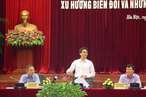 Nghiên cứu sâu góc độ văn hóa - xã hội, tìm giải pháp thay đổi tập quán mai táng