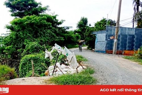 Khẩn cấp ứng phó sạt lở đê bao xã Vĩnh Trường