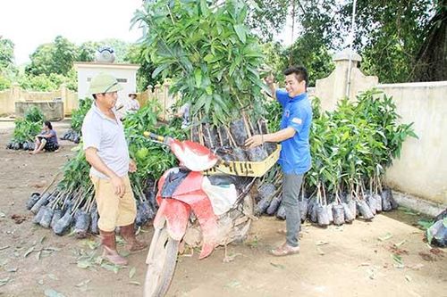 Tân Hợp đẩy mạnh chuyển đổi cơ cấu kinh tế