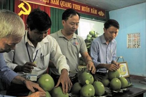 Kinh tế Nông nghiệp - Nông thôn 'Thẻ căn cước' cho nông sản