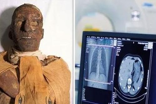 Phát hiện rùng rợn về cái chết của pharaoh Ai Cập