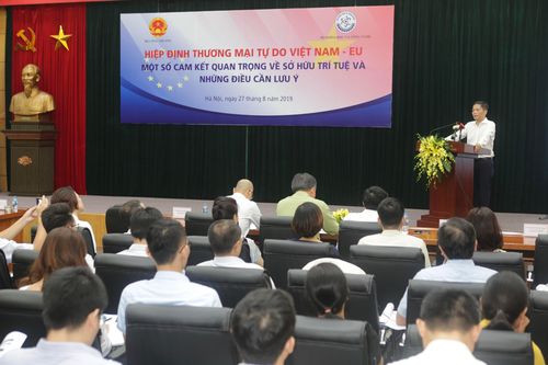 Các cam kết quan trọng về sở hữu trí tuệ và những điều cần lưu ý