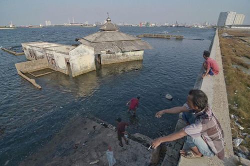 'Chào mừng đến rừng' - tham vọng dời đô đầy thách thức của Indonesia