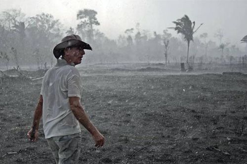 Nguồn cơn 'hỏa ngục' Amazon từ góc nhìn người dân vẫn phá rừng cả trong đám cháy