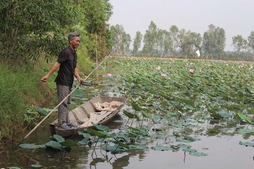ĐBSCL nghiên cứu trữ nước liên vùng, gắn với sinh kế người dân