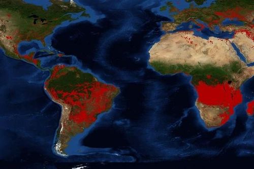 Angola và Congo đang xảy ra nhiều đám cháy hơn Amazon