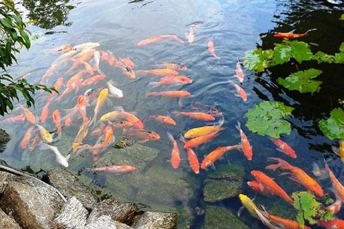 Làm sao để nhìn thấy sự ích kỷ và cái tôi của mình?