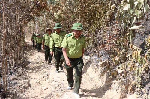 Cục Kiểm lâm kiểm tra công tác phòng chống cháy rừng tại Phú Yên