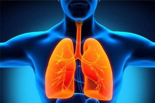 Những biện pháp thải độc phổi đơn giản, hiệu quả nhất cho người hút thuốc
