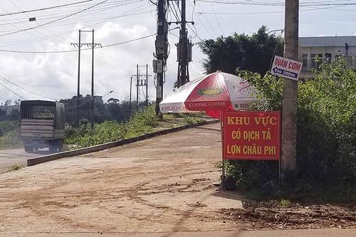 Ia Grai: Công bố dịch tả lợn châu Phi tại xã Ia Der