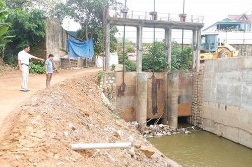 Giữ an toàn hệ thống đê trong mùa mưa, lũ