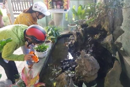 Y tế - Sức khỏe Tin tức y tế Nam Đông khống chế dịch sốt xuất huyết tại hộ gia đình
