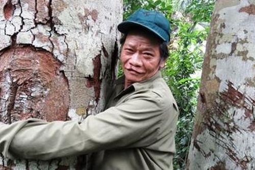 Người cả đời giữ rừng lim quý cho bản làng