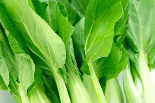 Làm cách này khi luộc rau, đảm bảo độc tố trong rau sẽ biến mất