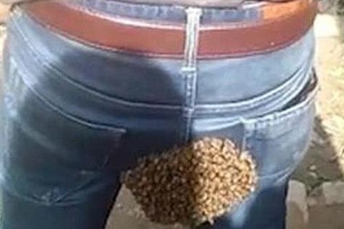 Chàng thanh niên hốt hoảng khi bị hàng trăm con ong đeo bám