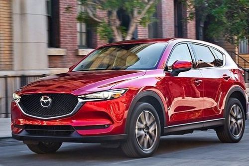 Nữ 'giám đốc' 19 tuổi lừa tiền tỷ để mua sắm ôtô