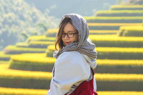 7 cung đường lúa chín ngoạn mục để 'săn' ảnh mùa vàng