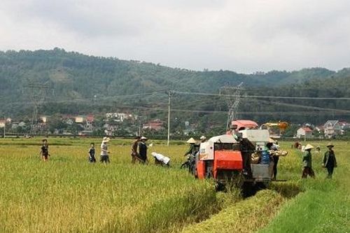 Nghệ An - Hà Tĩnh: Sẵn sàng phương án ứng phó với bão Podul