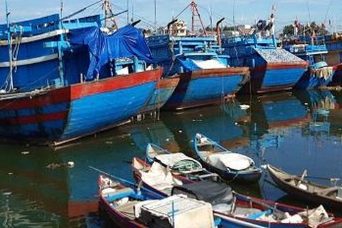 Quảng Ngãi khẩn trương hướng dẫn tàu thuyền tìm nơi trú tránh an toàn trước bão số 4