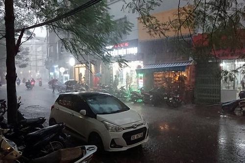 Mưa giông lốc bất ngờ khiến cây đổ ngổn ngang giờ tan tầm Hà Nội