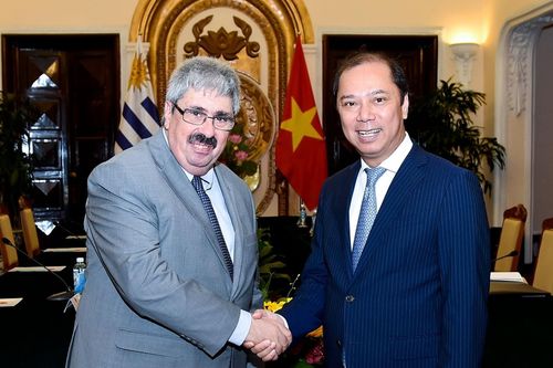 Việt Nam-Uruguay: Tham khảo chính trị cấp Thứ trưởng Ngoại giao lần thứ III