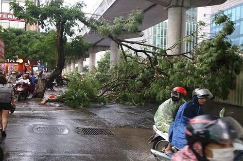 Mưa dông lớn đúng giờ tan tầm, người dân chật vật trong gió lớn