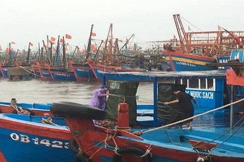 Quảng Bình: Hàng chục ngư dân trôi dạt trên vùng biển gần tâm bão số 4