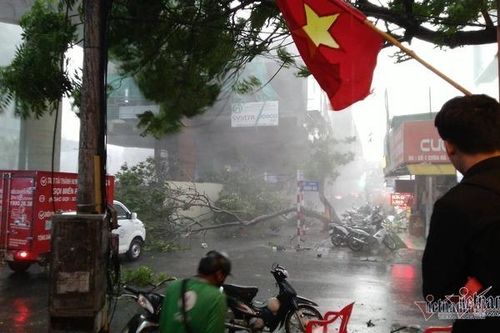 Giông lốc 'đánh úp', cây đổ la liệt giữa phố Hà Nội, 1 thanh niên tử vong