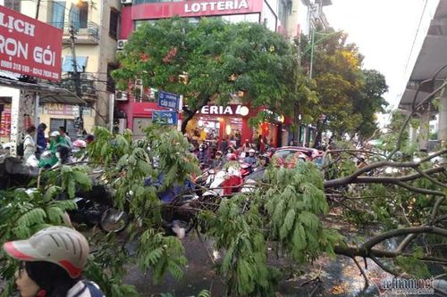 Bão số 4 tăng tốc, Thanh Hóa - Quảng Trị nguy cơ giông lốc, vòi rồng