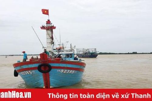 Ngư dân hối hả vào bờ tránh bão số 4