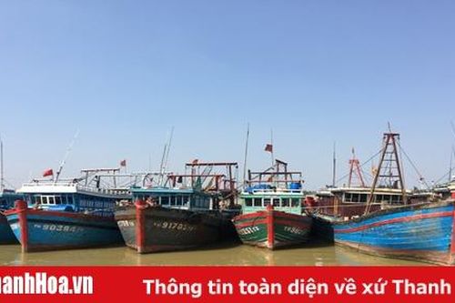 Huyện Tĩnh Gia: Sẵn sàng ứng phó với bão số 4