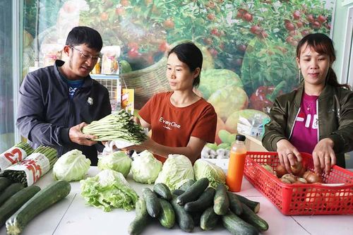 Hợp tác xã tại An Khê đưa thực phẩm sạch đến người tiêu dùng