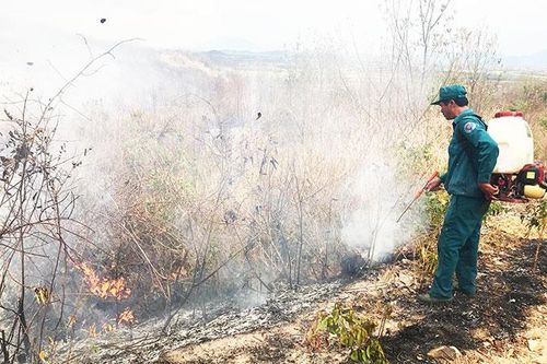 Cháy hơn 30ha rừng trồng tại khu vực Ea Krong Rou