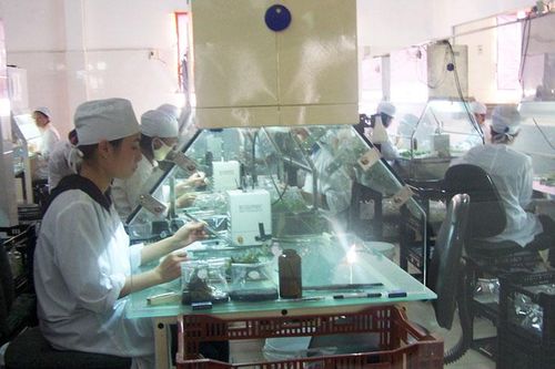 Trên 64 tỷ đồng đầu tư nghề trọng điểm