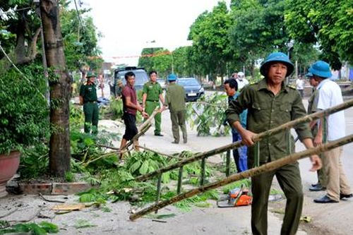 Gia Viễn ra quân tổng vệ sinh môi trường dọc tuyến đường ĐT477