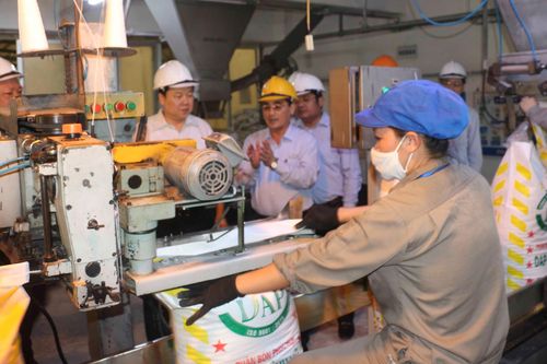 DAP - VINACHEM: Quyết tâm 'bứt phá' và câu chuyện dài hạn