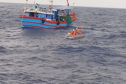 Tàu cá chở 14 ngư dân Quảng Bình gặp nạn, trôi dạt trên vùng biển gần tâm bão số 4