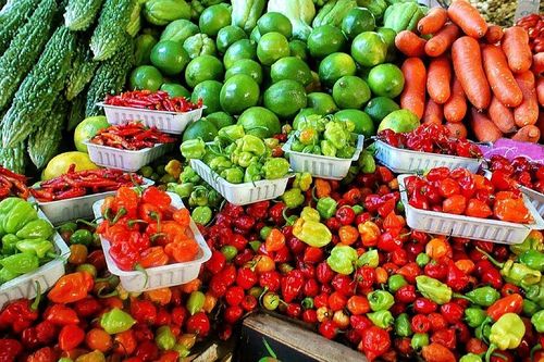 Thúc đẩy xuất khẩu nông sản Việt vào Hàn Quốc