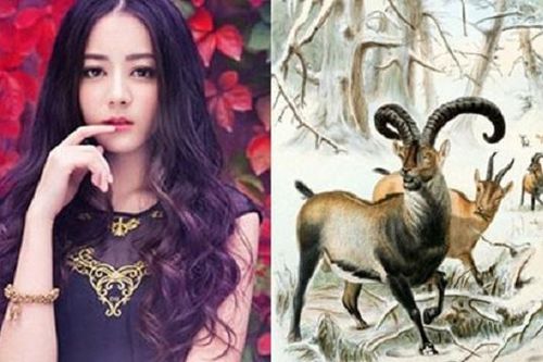 Tử vi ngày 30/8/2019 của 12 con giáp: Tuổi Mùi công việc khởi sắc, công danh rộng mở