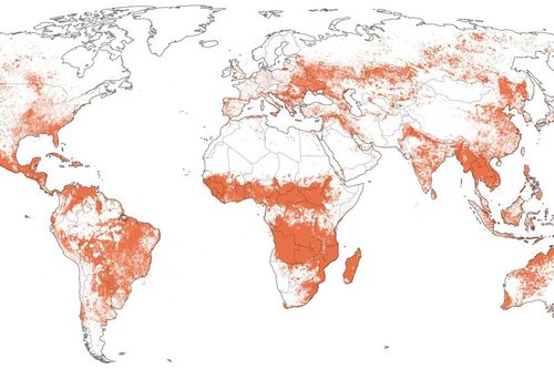 Từ Amazon, Siberia tới Indonesia, cả thế giới đang điêu đứng vì cháy rừng