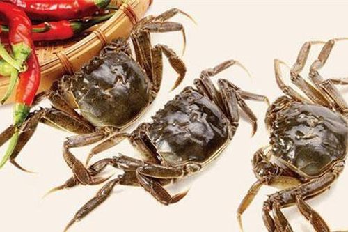 Dùng cua đồng theo cách này chữa bệnh xương khớp tốt 'gấp tỷ lần' thuốc tây
