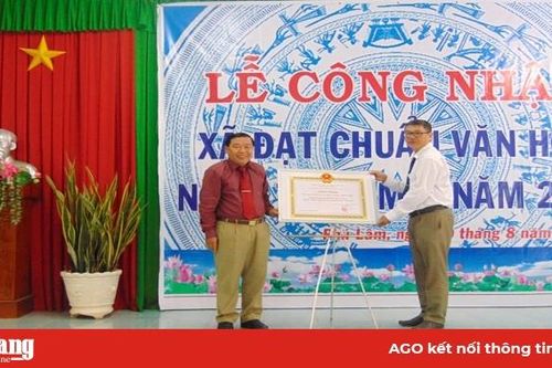 Phú Lâm đạt chuẩn 'Xã văn hóa nông thôn mới'