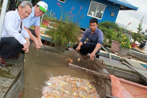 Đánh giá lại tác động về môi trường của làng cá bè