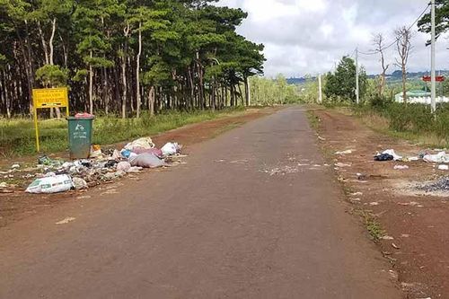 Bừa bãi rác thải tại khu vực đồi thông