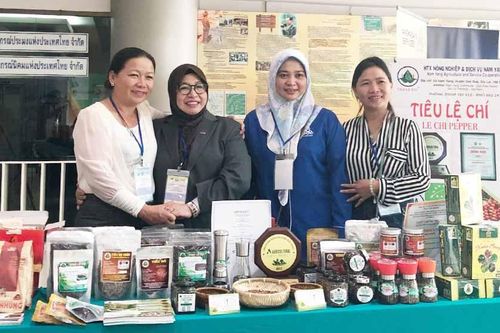 Kinh tế tập thể của tỉnh Gia Lai chuyển biến rõ nét
