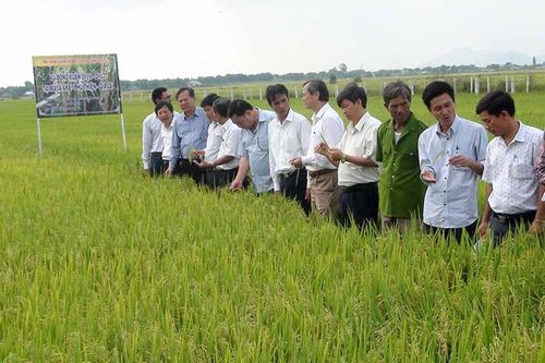 'Thung lũng vàng' chuyển mình
