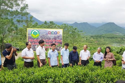 Hội viên Hội Nhà báo tỉnh thực tế tại T.X Phổ Yên